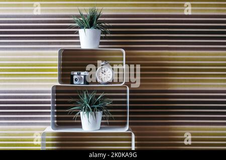 Potted plants placed white shelves while old photo camera and vintage clock situated in room with colorful walls Stock Photo