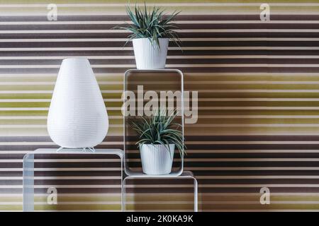 Minimalist conception of white flowers in ceramic narrow vases and big modern vase placed on white shelves in room with striped wall Stock Photo