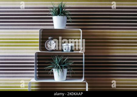 Vintage clock and retro fashioned camera placed on shelf between potted plants against colorfully striped background Stock Photo