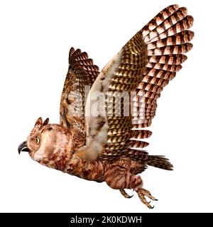 3D rendering of a great horned owl or tiger owl or Bubo virginianus isolated on white background Stock Photo