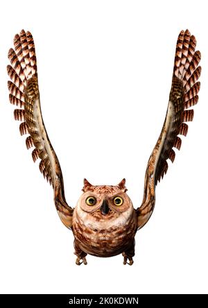 3D rendering of a great horned owl or tiger owl or Bubo virginianus isolated on white background Stock Photo