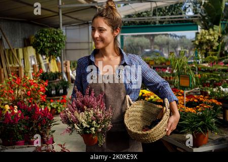 Full body happy woman carrying potted colorful plant and smiling while working in hothouse Stock Photo