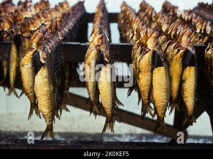 DENMARK Bornholm smoked fish directly from the smoke to the tourists lunch plates Stock Photo