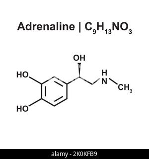 Adrenaline Molecule (C9H13NO3) Chemical Structure. Vector Illustration. Stock Vector