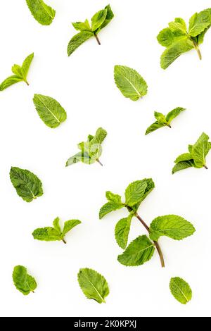 Herbs pattern with green mint leaves, top view Stock Photo