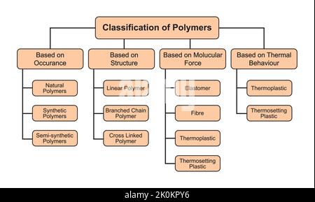 Classification Of Polymers. Polymers And Its Types. Vector Illustration ...