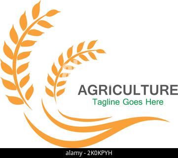 Agriculture wheat logo template icon design Stock Vector
