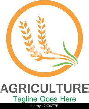 Agriculture wheat logo template icon design Stock Vector