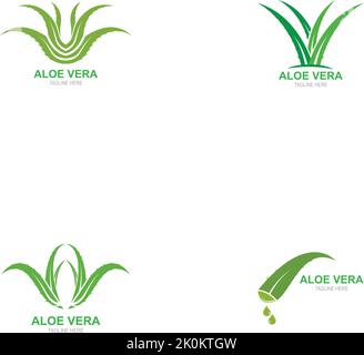 Set of Aloe vera logo vector illustration template Stock Vector