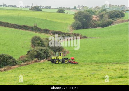 Timoleague, West Cork, Ireland. 12th Sep, 2022. A big exponent of sustainable farming, West Cork based dairy farmer David Deasy prepares the ground for stitching clover on his farm in Timoleague. David is using an Einbock Grass Harrow being hauled by a fully restored 1990 Mercedes MB Trac 1100 tractor. Credit: AG News/Alamy Live News Stock Photo