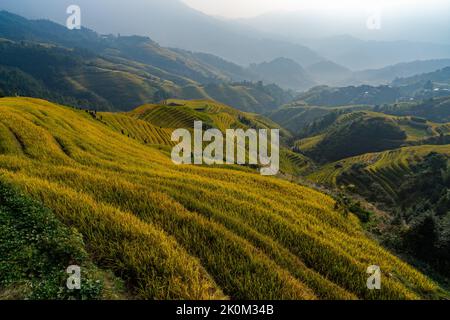 Longji Rice terraces China aerial view sunrise Stock Photo