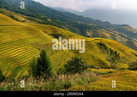 Longji Rice terraces China aerial view sunrise Stock Photo