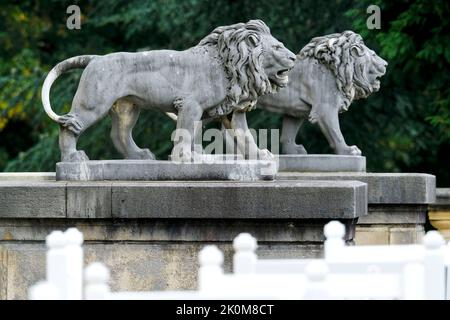 DEU, Deutschland, Nordrhein-Westfalen, Ruhrgebiet, Essen, 11.09.2022: zwei Loewenskulpturen aus Marmor an der Suedseite der Essener Villa Huegel, eins Stock Photo