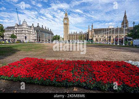 London UK. 12 September 2022. Flowers are laid in Parliament Square    in preparation for  the state funeral of Queen Elizabeth II.  Thousands of mounrers are expected to file to see the coffin of the late Queen Elizabeth  which will lie in state at Westminster Hall until before the state funeral on 19 September Credit: amer ghazzal/Alamy Live News Stock Photo
