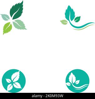 Mint leaves flat vector color icon template Stock Vector
