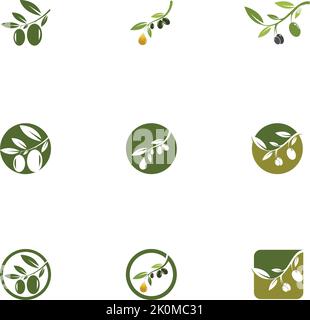 Olive logo template vector icon illustration design Stock Vector