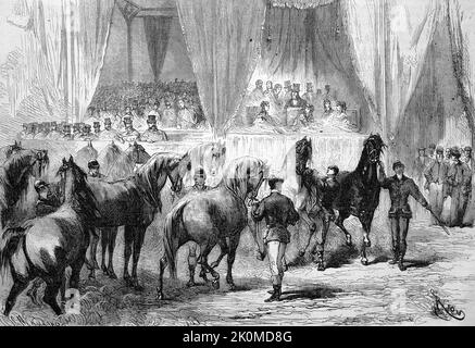 Pferdeausstellung und Prämierung im Palais de l'Industrie, die prämierten Pferde passieren die Jurytribüne, 1869, Paris, Frankreich  /  Horse show and award ceremony at the Palais de l'Industrie, the awarded horses pass the jury stand, 1869, Paris, France, Historisch, digital restaurierte Reproduktion einer Originalvorlage aus dem 19. Jahrhundert, genaues Originaldatum nicht bekannt  /  historical, digital improved reproduction of an original from the 19th century Stock Photo