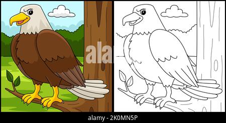 Eagle Animal Coloring Page Colored Illustration Stock Vector