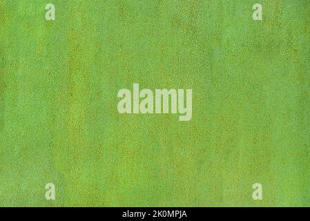 green metal panelling fence with rust and paint flakes Stock Photo