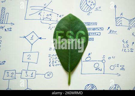 Leaf on charts with sign ESG Environmental, Social, and Corporate Governance. Stock Photo
