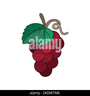 Grape bunch vintage style vector illustration. Grape and vine hand drawing. Part of set. Stock Vector