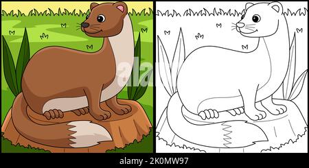 Weasel Animal Coloring Page Colored Illustration Stock Vector
