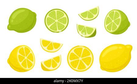 Lime and lemon cartoon vector illustration. Slices, slices, slices, cut lemon and lime isolated on white background Stock Vector