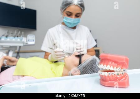 orthodontic model and dentist tool - demonstration teeth model of ...