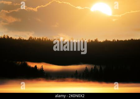 Water-surface, ground-level fog over the lake, ice and coniferous forest. Fog patches, fog wave. Spring in Lapland Stock Photo