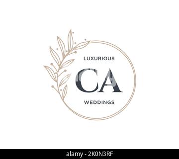 CA Initials letter Wedding monogram logos template, hand drawn modern minimalistic and floral templates for Invitation cards, Save the Date, elegant Stock Vector