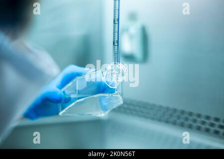 Lab Bio Cell cell culture, medicine, medical and biology laboratory Stock Photo - Alamy