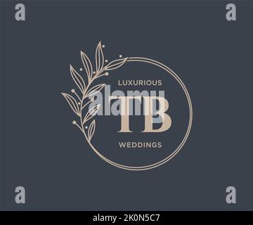 TB Initials letter Wedding monogram logos template, hand drawn modern minimalistic and floral templates for Invitation cards, Save the Date, elegant Stock Vector