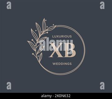 XB Initials letter Wedding monogram logos template, hand drawn modern minimalistic and floral templates for Invitation cards, Save the Date, elegant Stock Vector