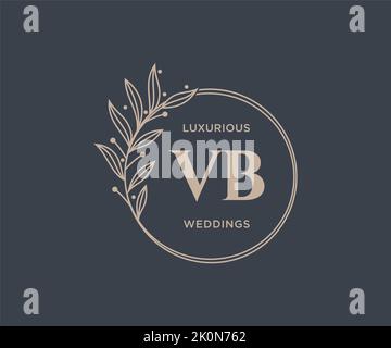 VB Initials letter Wedding monogram logos template, hand drawn modern minimalistic and floral templates for Invitation cards, Save the Date, elegant Stock Vector