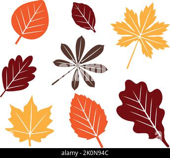 vector illustration of fall, autumn leaves. Stock Vector
