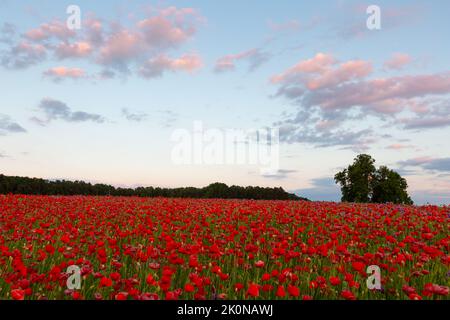 Summer rural landscape of Turiec region, Slovakia. Stock Photo