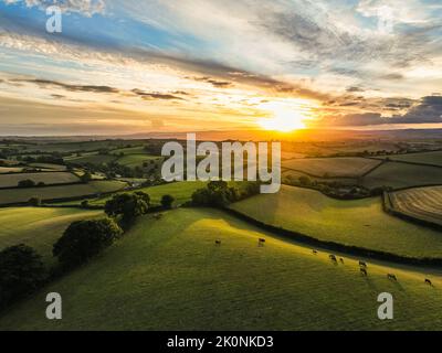Sunset over Farmlands and Fields from a drone, Devon, England, Europe Stock Photo