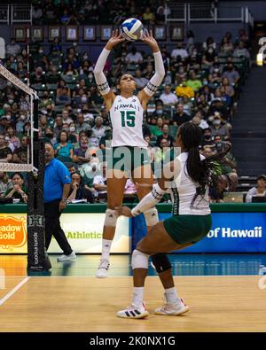 September 4, 2022 - Hawaii setter Mylana Byrd (15) sets the ball during the match of the Hawaii vs. UCLA volleyball game at the Simplifi Arena at Stan Sheriff Center in Honolulu, Hawaii. Glenn Yoza/CSM Stock Photo