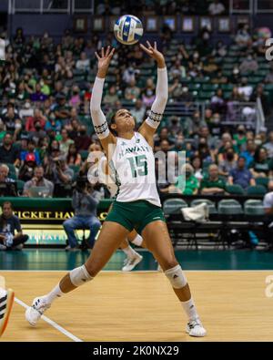 September 4, 2022 - Hawaii setter Mylana Byrd (15) sets the ball during the match of the Hawaii vs. UCLA volleyball game at the Simplifi Arena at Stan Sheriff Center in Honolulu, Hawaii. Glenn Yoza/CSM Stock Photo