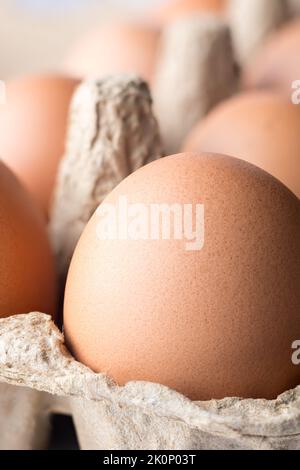 close-up of fresh brown chicken eggs in an egg box, soft-focus background with copy space, healthy organic food concept Stock Photo