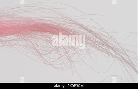 Curly messy pink color hair ends isolated on white studio background Stock Photo