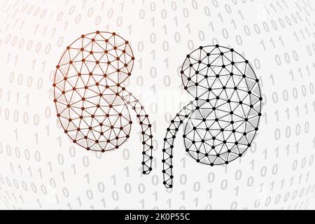 Kidneys 3d low poly symbol with binary code background. Urinary design vector illustration. Organ anatomy polygonal symbol with connected dots Stock Vector