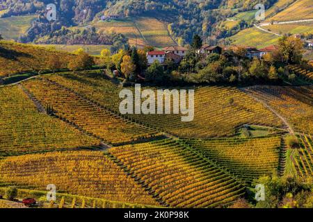 View from above of colorful autumnal vineyards grow on the hills in Piedmont, Northern Italy. Stock Photo