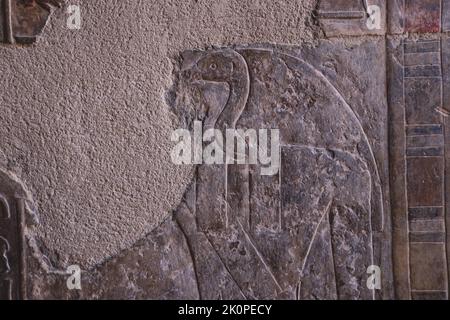 Luxor, Egypt - November 13, 2020: Ancient Egyptian Painting on the Walls near the Door of Mortuary Temple of Hatshepsut Stock Photo