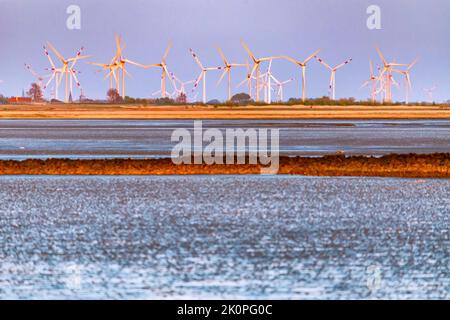 Wind farm behind the dike, Friedrichskoog in the evening on the North Sea coast Stock Photo