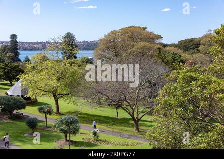 Royal Botanic Garden in Sydney on a spring day in 2022, Sydney harbour in the distance,NSW,Australia Stock Photo