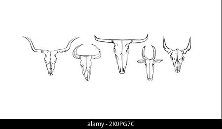 Buffalo clipart, vintage hand drawn vector Stock Vector Image & Art - Alamy