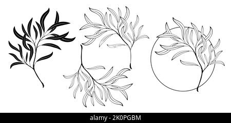 Set of contour, black, silhouette, artistically drawn willow branches and round monogram with willow twig on white background. Cottagecore. Contour an Stock Vector