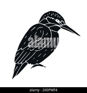 Vector hand drawn doodle sketch black kingfisher isolated on white background Stock Vector