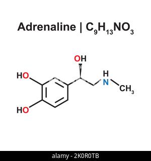 Adrenaline Molecule (C9H13NO3) Chemical Structure. Vector Illustration. Stock Vector